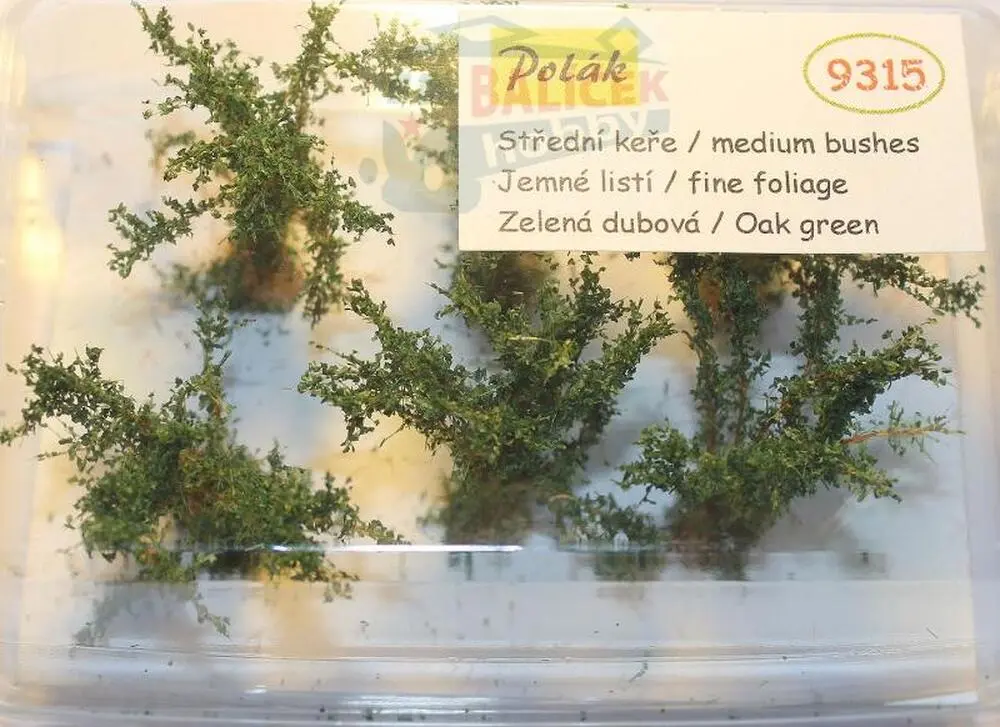 Keře - Střední keře - jemné listí - Zelená dubová , Polák 9315