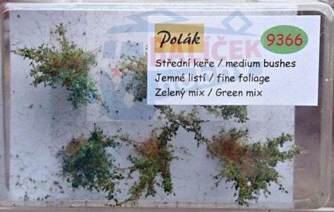 Keře - Střední keře - jemné listí - Zelený mix, Polák 9366