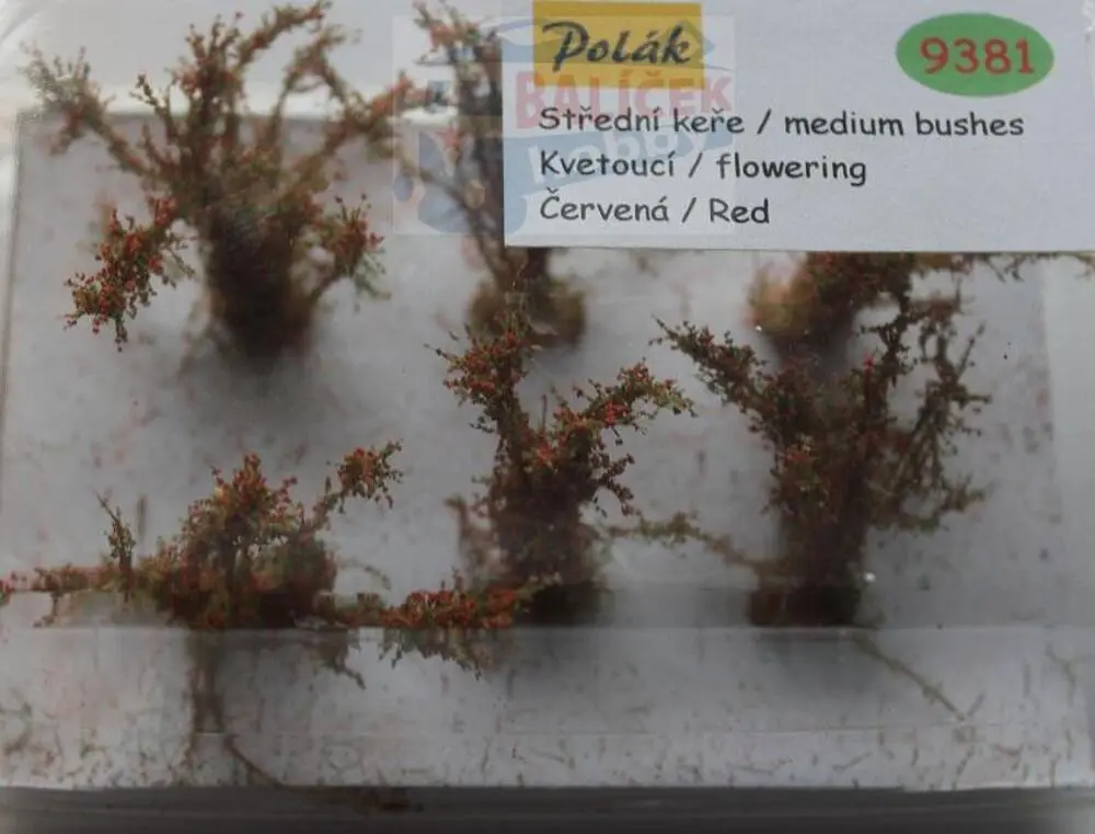 Keře - Střední keře - kvetoucí - Červená, Polák 9381