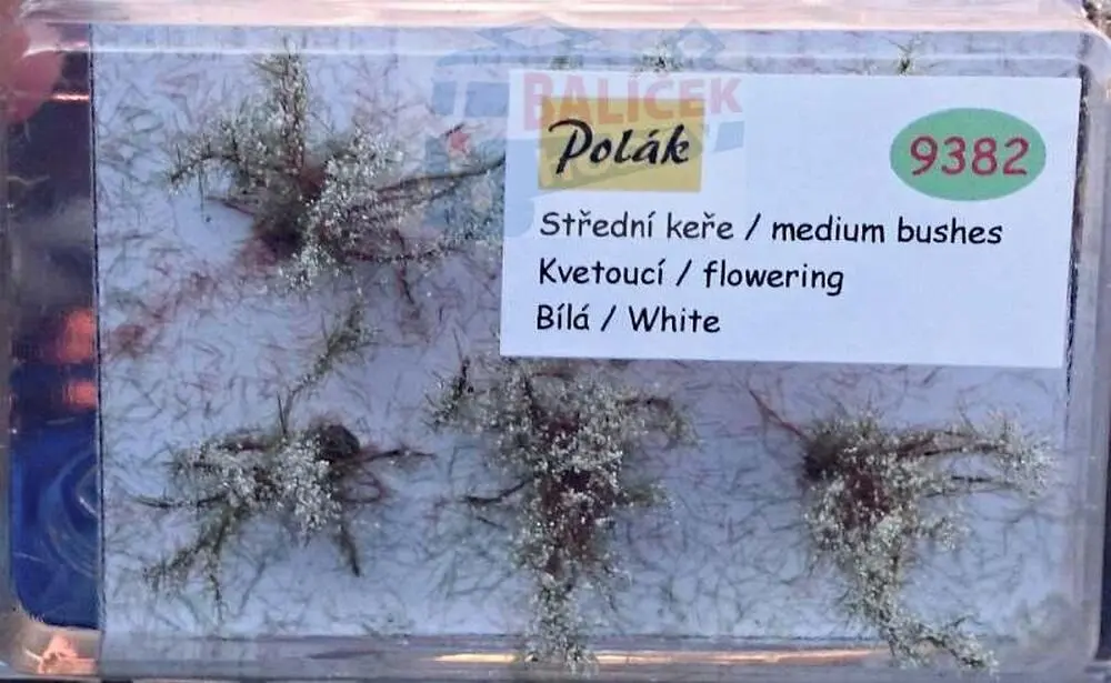 Keře - Střední keře - kvetoucí - Bílá, Polák 9382