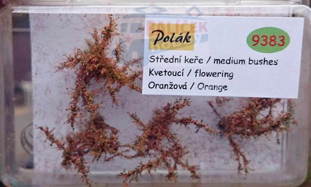 Keře - Střední keře - kvetoucí - Oranžová, Polák 9383