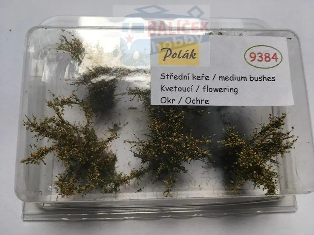 Keře - Střední keře - kvetoucí - Okr, Polák 9384