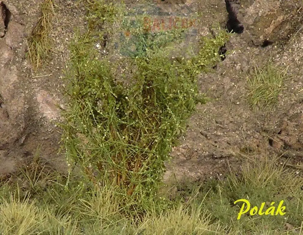 Keře - Vysoké keře - mikro listí - Zelená břízová, Polák 9203