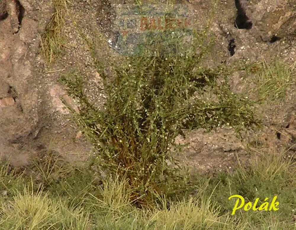 Keře - Vysoké keře - mikro listí - Zelená dubová, Polák 9205