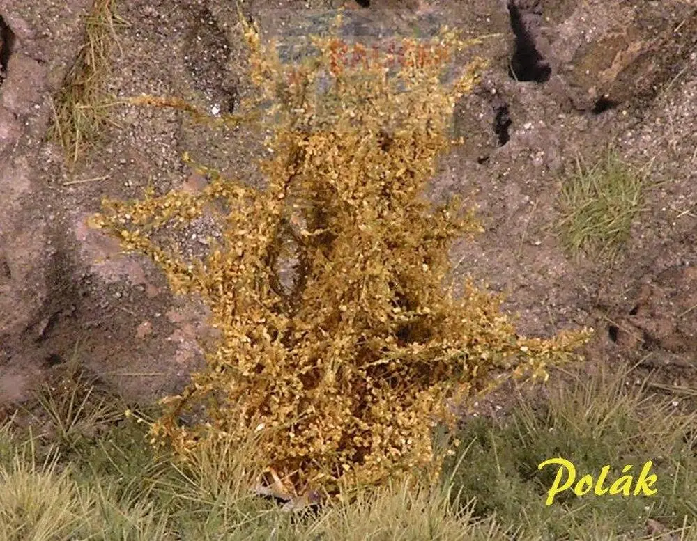 Keře - Vysoké keře - mikro listí - Okr, Polák 9253