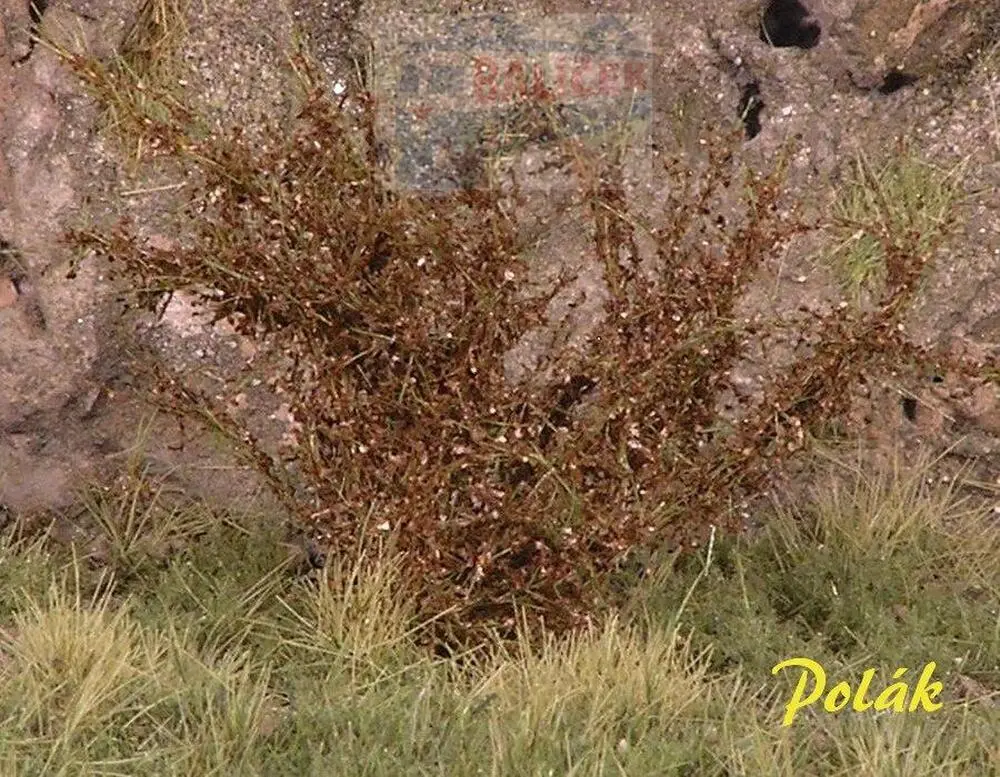 Keře - Vysoké keře - mikro listí - Hnědá, Polák 9254