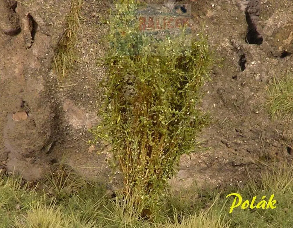 Keře - Vysoké keře - mikro listí - Zelený mix, Polák 9256