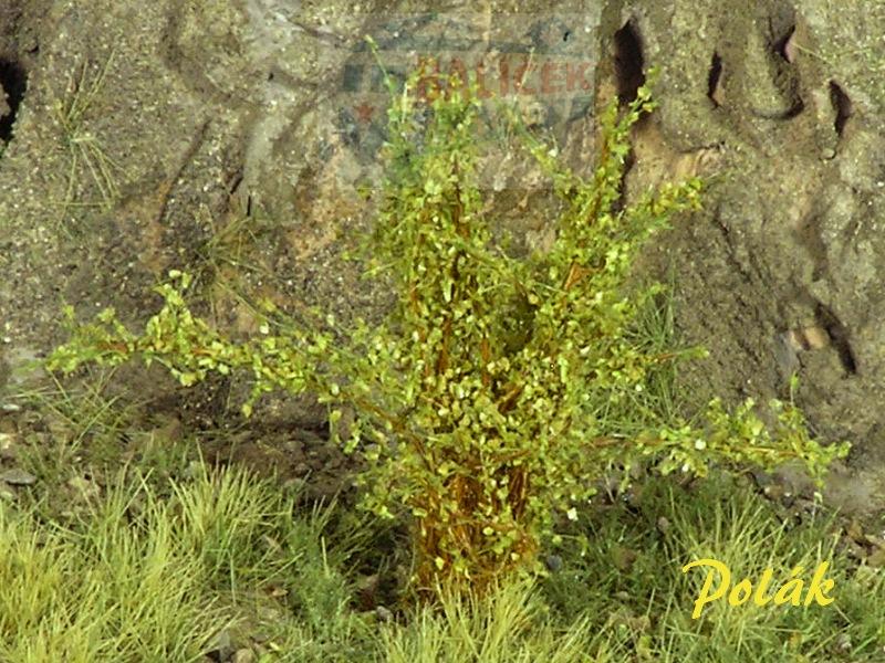 Keře - Vysoké keře - Jemné listí - Zelená světlá, Polák 9212