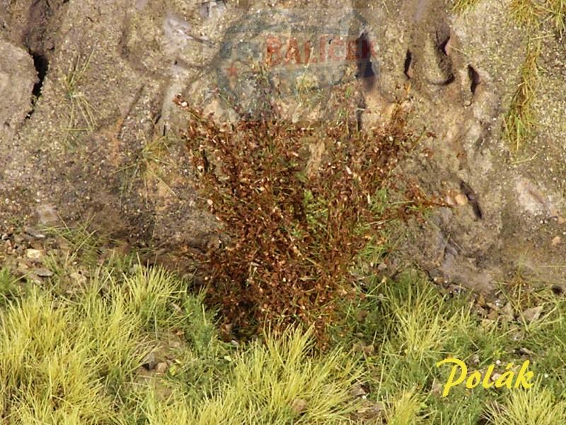 Keře - Vysoké keře - Jemné listí - Hnědá, Polák 9264