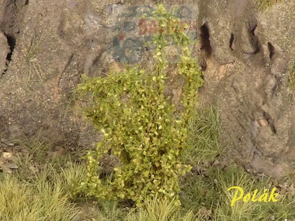 Keře - Vysoké keře - Střední listí - Zelená světlá, Polák 9222