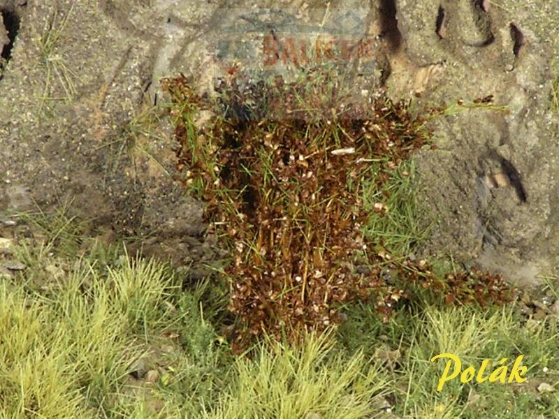 Keře - Vysoké keře - Střední listí - Hnědá, Polák 9274