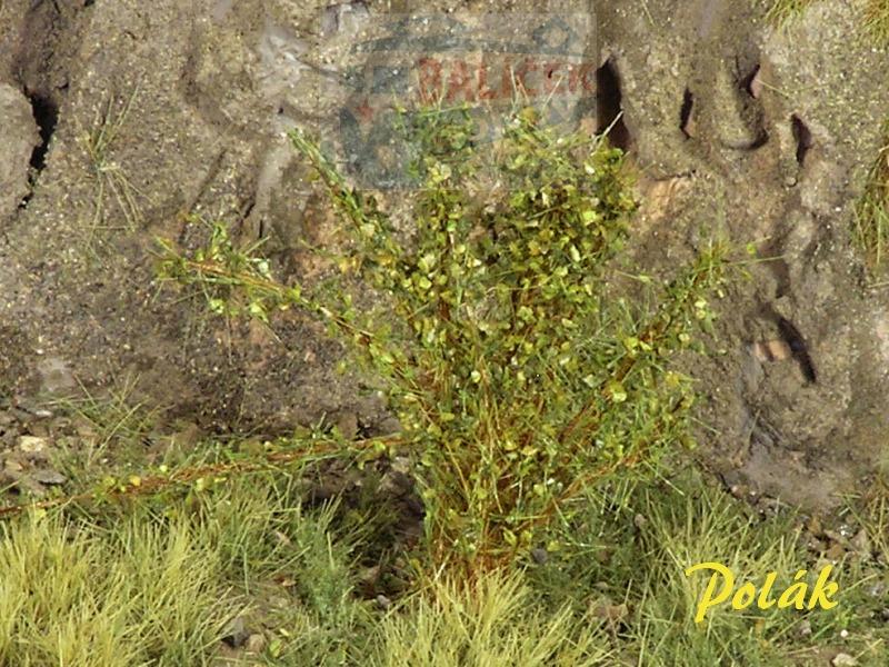 Keře - Vysoké keře - Střední listí - Zelený mix, Polák 9276