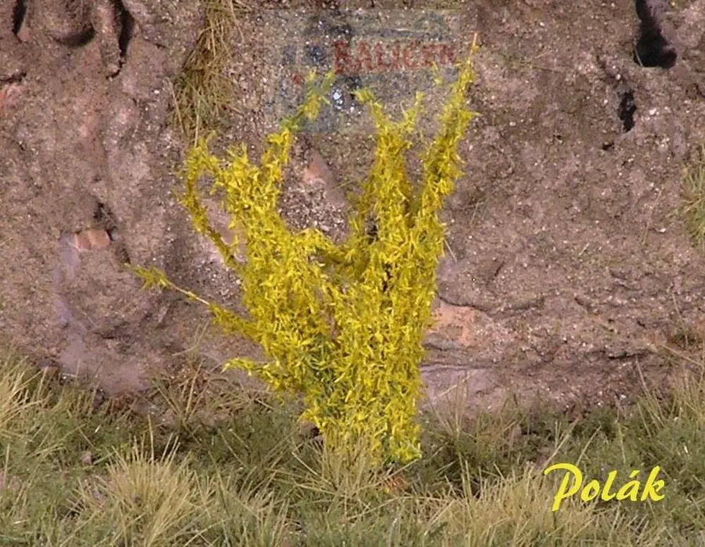 Keře - Kvetoucí keře - Zlatý déšť, Polák 9296