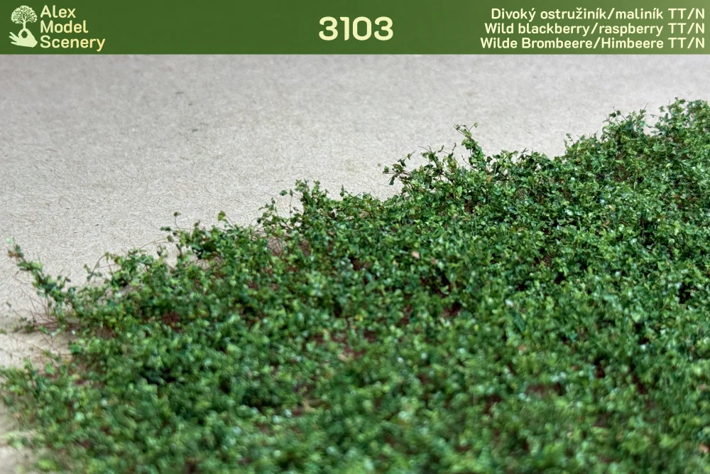 Divoký ostružiník/maliník TT/N