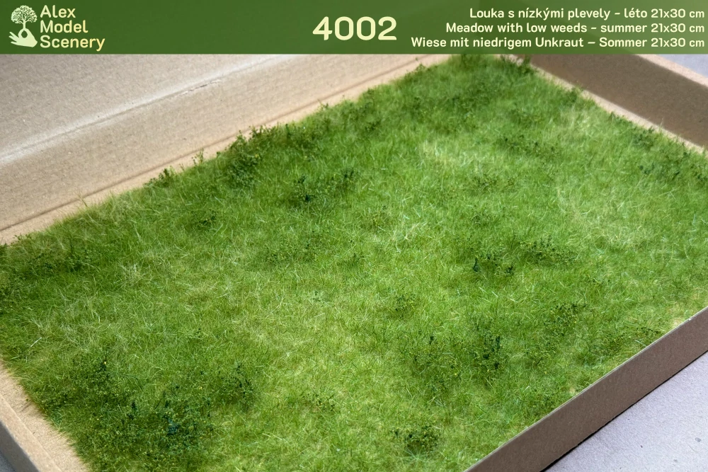 Louka s nízkými plevely - léto
