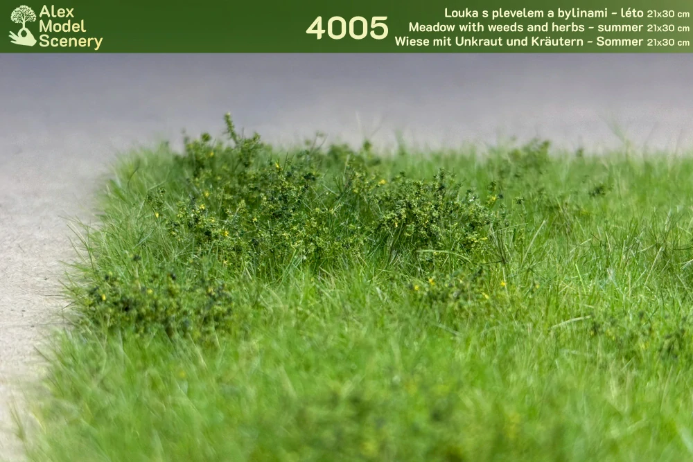 Louka s plevely a bylinami - léto