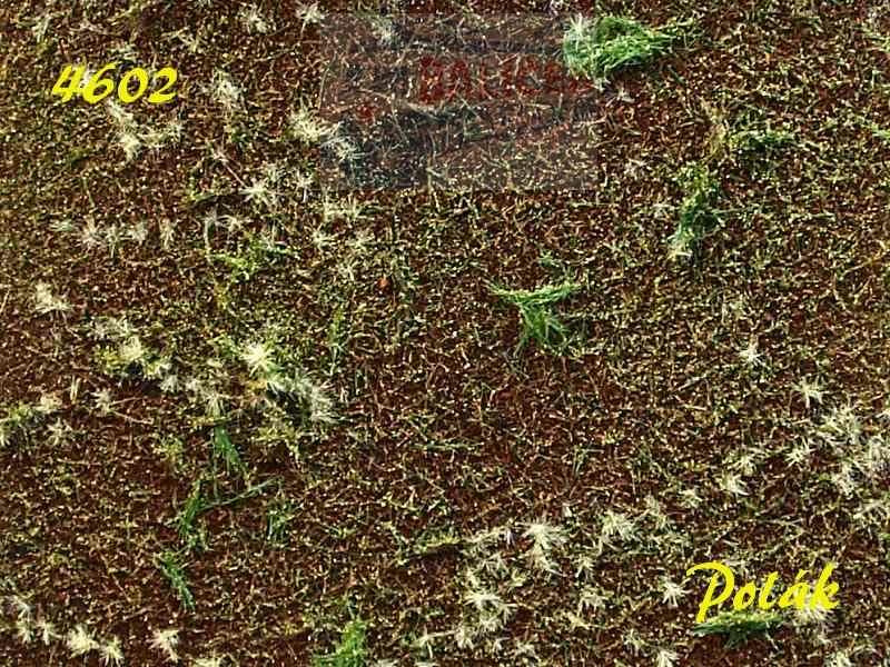 Louka řady A - varianta B - Polák 4602