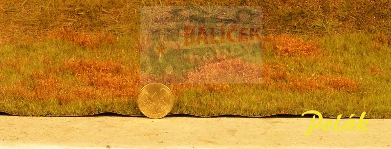 Neobdělávaná louka - varianta B - Polák 4702