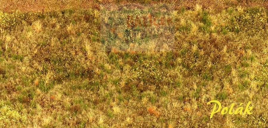 Neobdělávaná louka - varianta C - Polák 4703