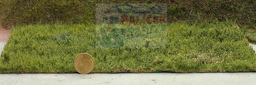 Neobdělávaná louka - varianta D - Polák 4704