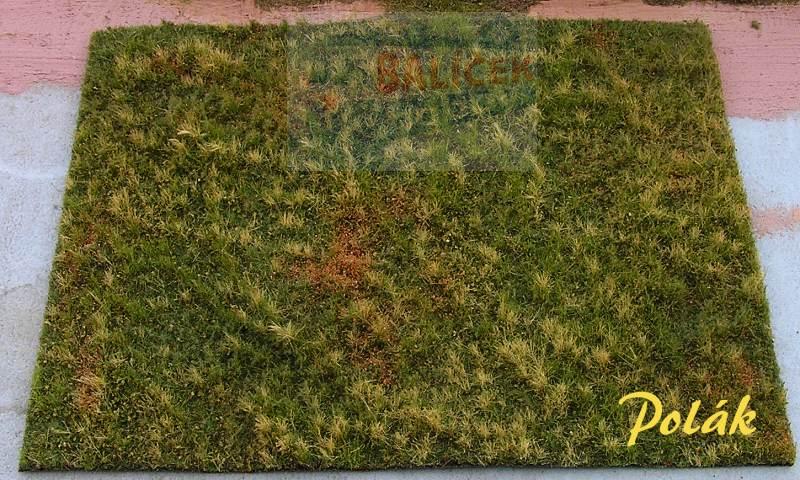 Neobdělávaná louka - varianta G - Polák 4707