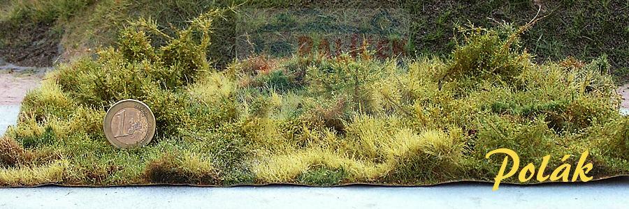 Lesní porost varianta C - Polák 9813