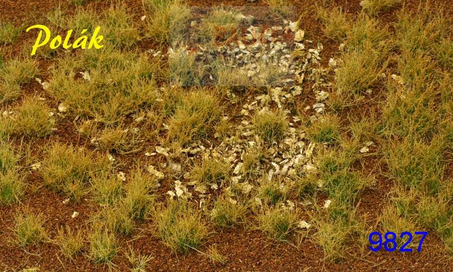 Lesní mýtina varianta G - Polák 9827