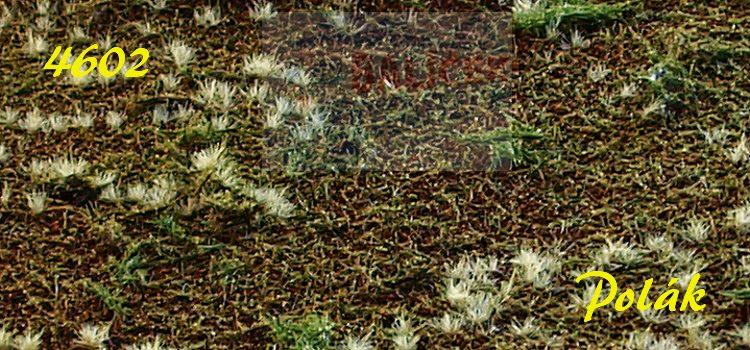 Louka řady A - varianta B - Polák 4602