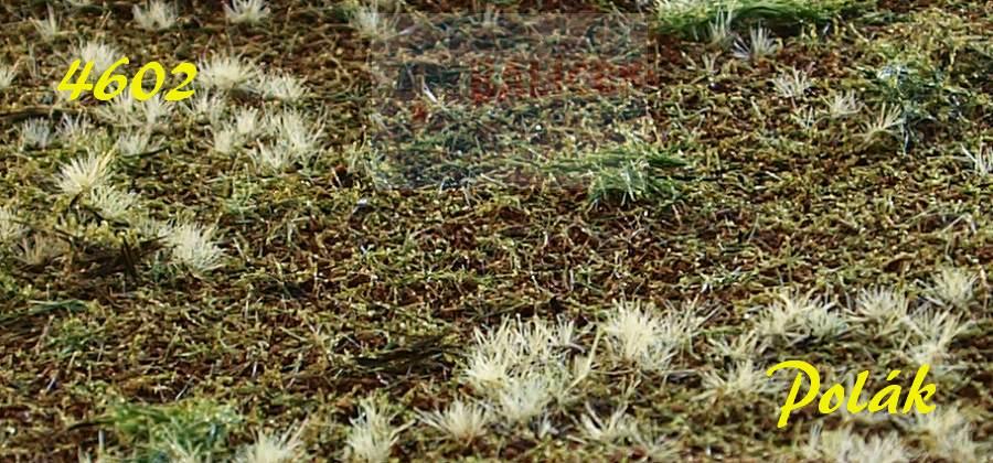 Louka řady A - varianta B - Polák 4602